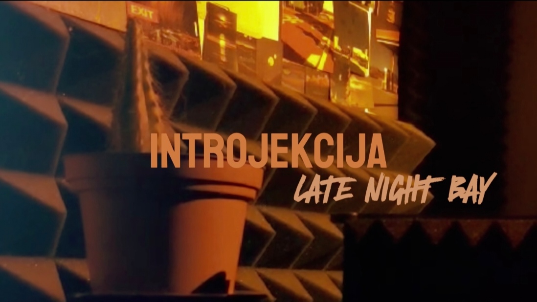 Introjekcija cover